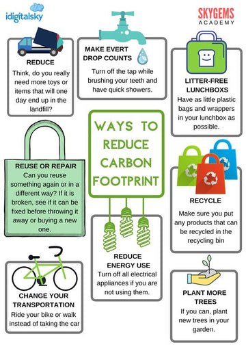 How to Reduce Your Carbon Footprint: Practical Tips for a Sustainable Lifestyle