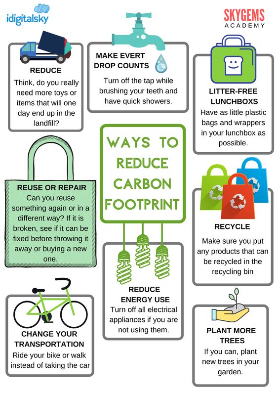 Climate Change Tips How to Reduce Your Carbon Footprint: Practical Tips for a Sustainable